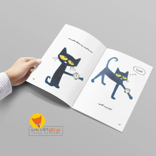 Pitin Büyük Naharı - Serie Turkse Azerbeidzjaanse boeken