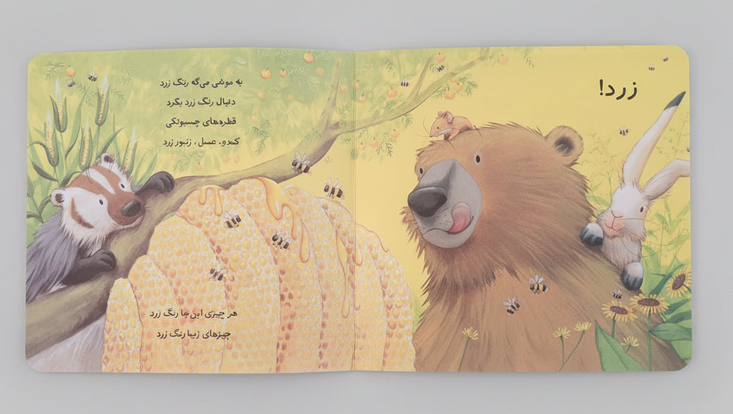 خرسی و رنگ های قشنگ