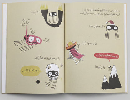 عنکبوت