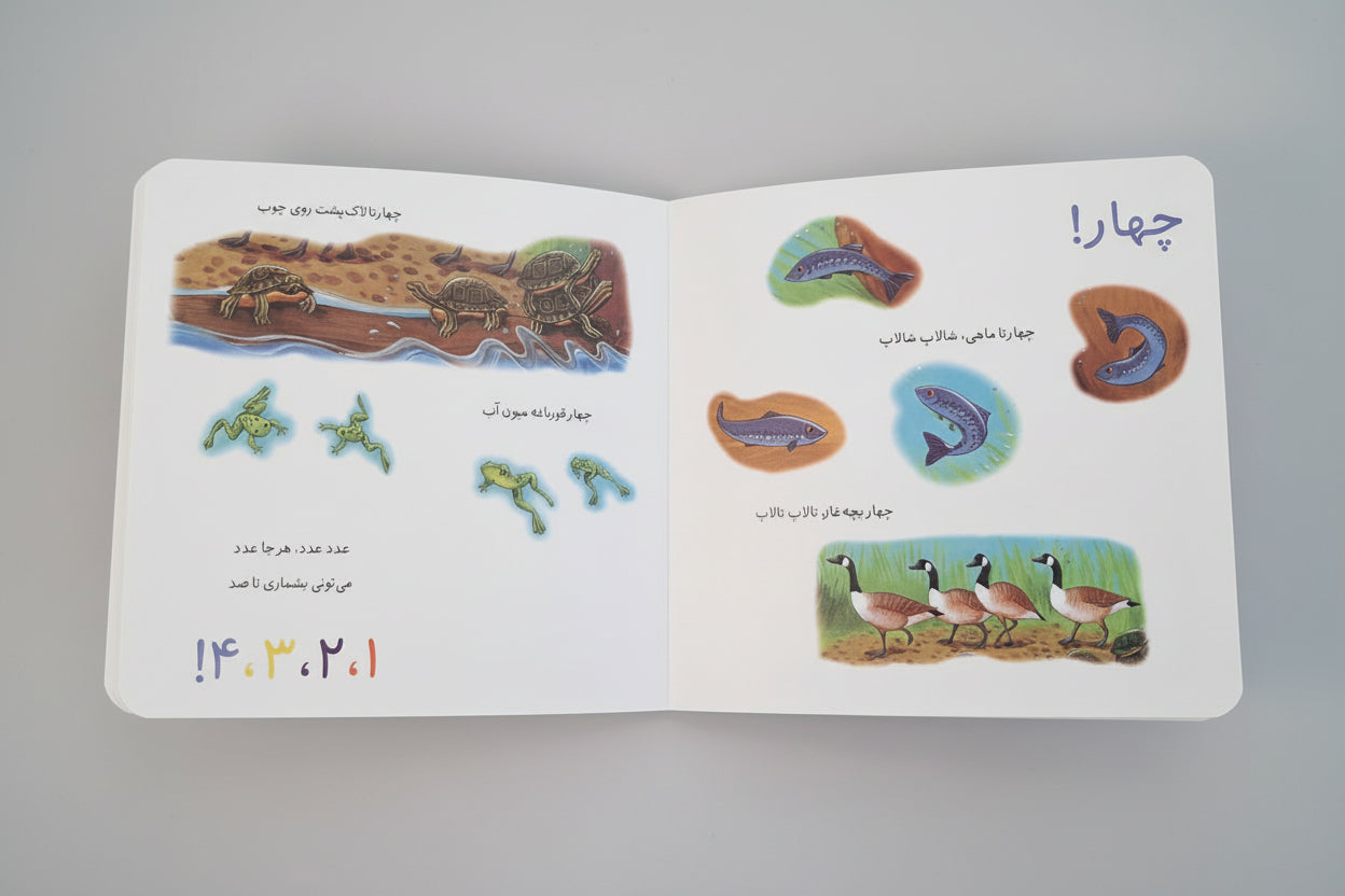 خرسی می تونه بشماره