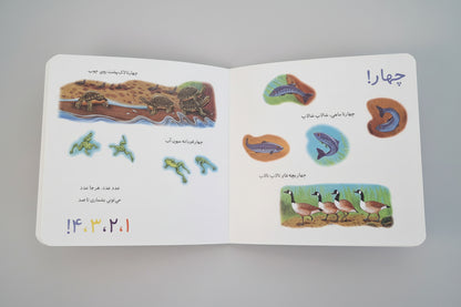 خرسی می تونه بشماره